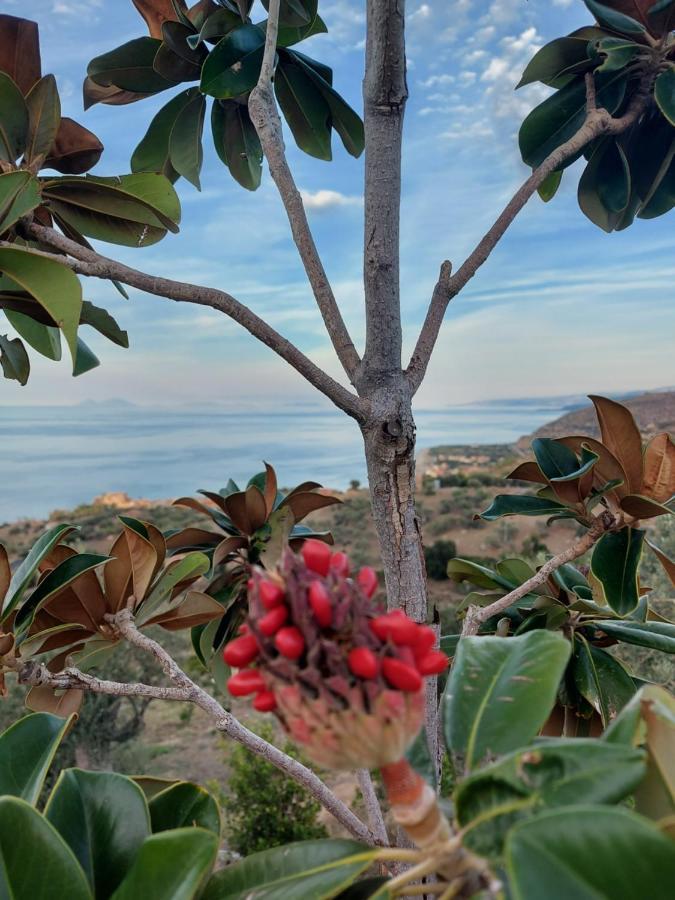 Terre di Tusa Bagian luar foto