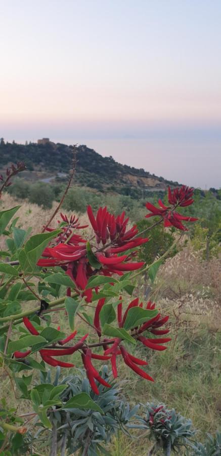 Terre di Tusa Bagian luar foto